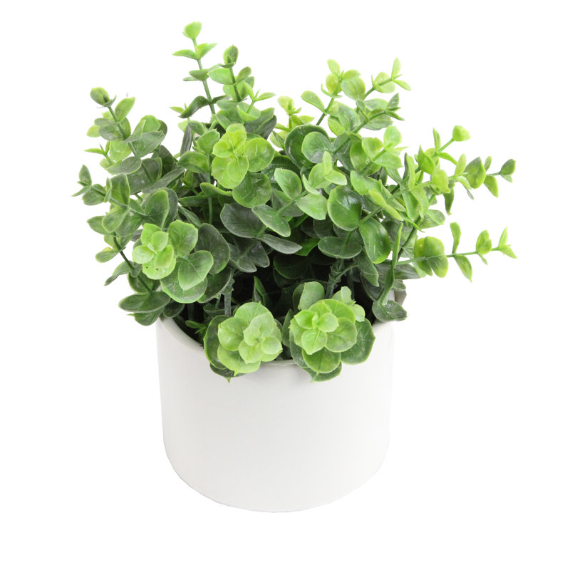 Gracie Oaks Artificial Eucalyptus Plant Centerpiece in Pot & Reviews